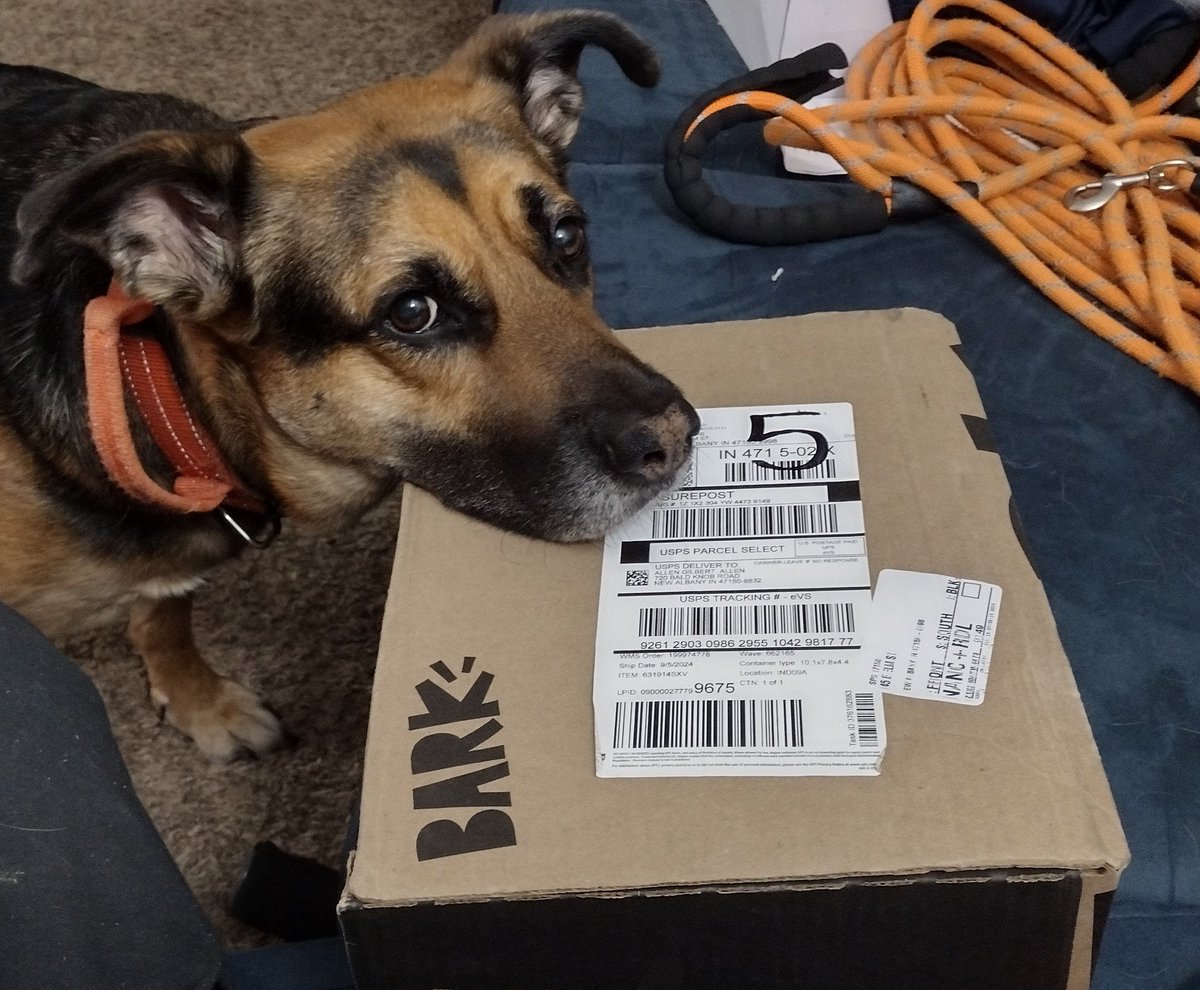 IrishSkytower's tweet photo. This past 6 weeks have been hard and Missy and I. Mommy (my wife) is in a long term rehab center after an amputation and we have a rule "No Opening the @barkbox unless Mommy sees it too." So we have to wait for Mommy to get on a video call to open it. https://t.co/b7bwbwskzU