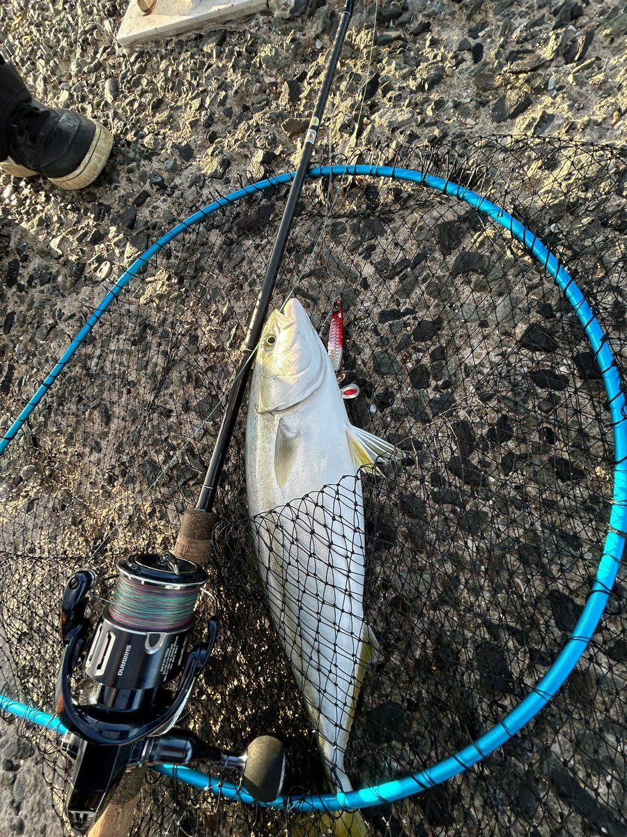 BanBanFishing's tweet photo. おはヤズなう https://t.co/deDurAUaem