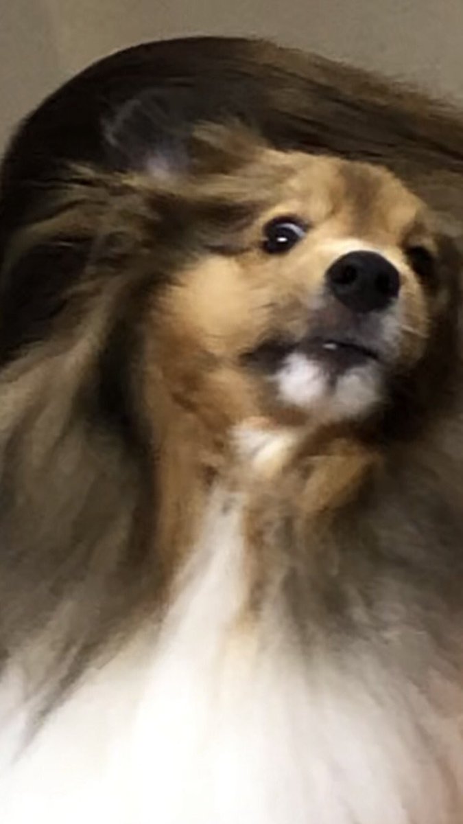 ←私だっこ前　　妹だっこ中→