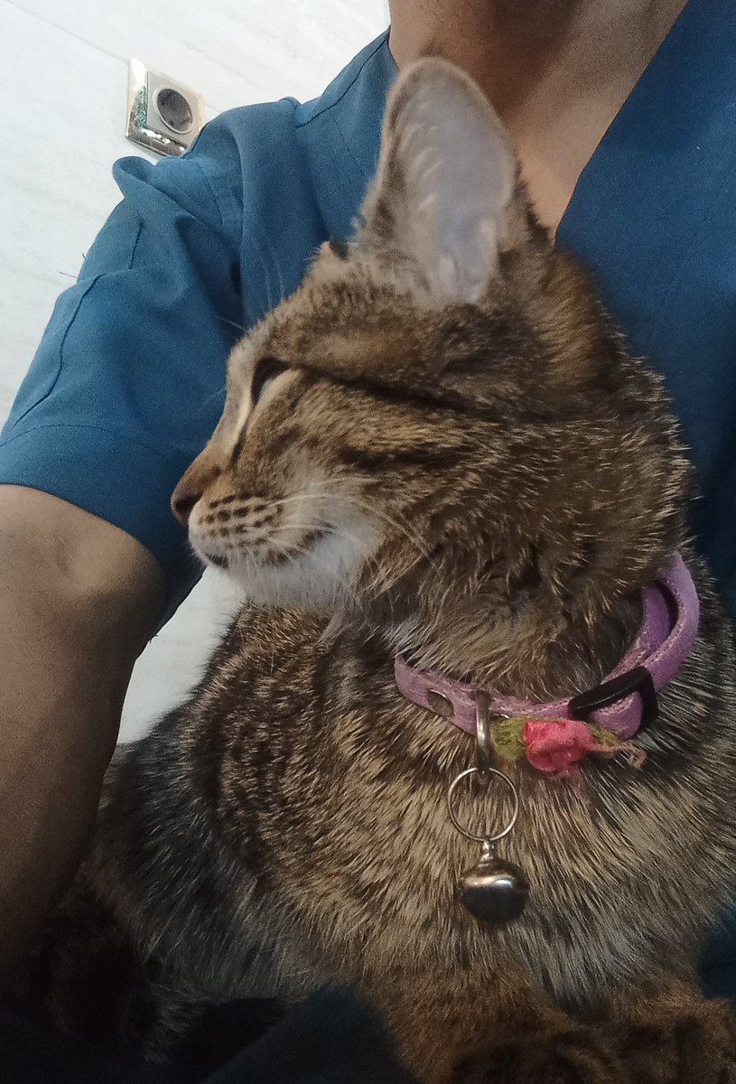 _Shahriar_0's tweet photo. یارِ خوب رو نمیدونم،
 ولی رفیقِ خوب تمام ِ ماجراست🌚😻😺 https://t.co/leC13khsQF