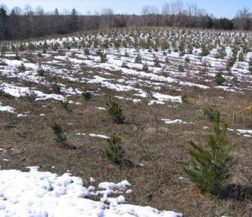 Remote sensing and EC flux measurements in an agricultural field in southern Ontario used to determine C sequestration or loss capabilities of different crops in the Great Lakes region: thesis by Nur Hussain
hdl.handle.net/11375/30348 <a href="/MAC_Climate/">McMaster Centre for Climate Change</a>