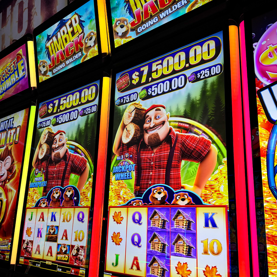 ticasino's tweet photo. TIMBER! Jack and his beaver buddies are back with an exciting new game, Timber Jack Going Wilder, now on the casino floor in Hot New Slots! Enjoy pot fillers, a jackpot wheel and FREE bonus games. Are you ready to play? 🎰 🌲

#destinationfun #slots #newslots #casino https://t.co/ZUhlw4JV5Z