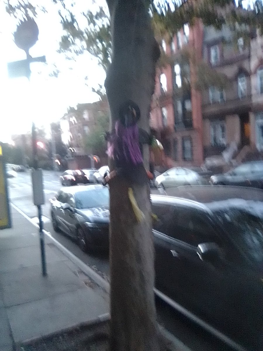 jonas47784's tweet image. Block got he #activemovement