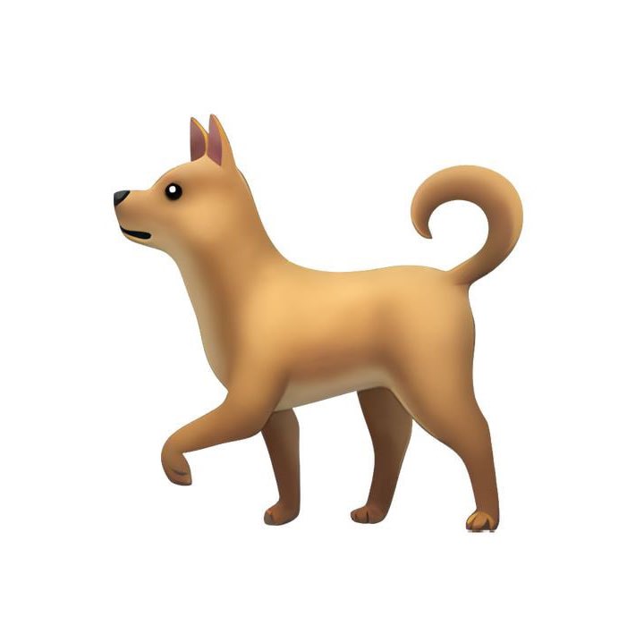 Dog (🐕) tweet media