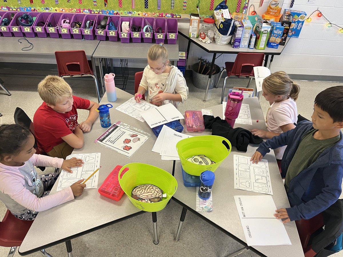 Take a look at our first graders enjoying human body stations that go along with their new ELA texts! 📚
