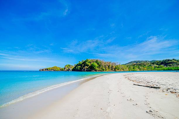 愛は美しい🌈🌷🐳🦉💐🌸🍀🍄