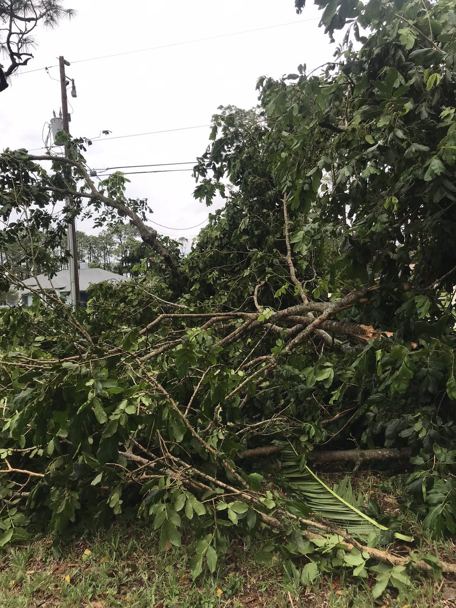 Jennifer_283's tweet photo. @WPTV tornado in Loxahatchee, FL formed behind my house at 5PM. Ripped our tree and our neighbors tree. https://t.co/buJpU1eKQE