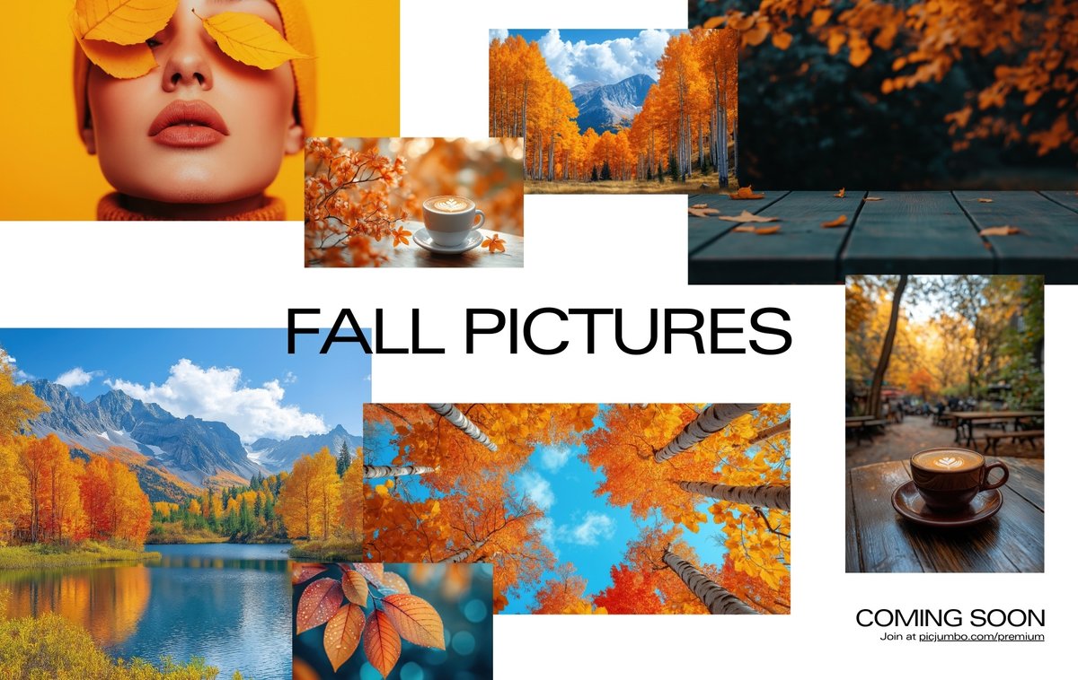 picjumbo tweet media