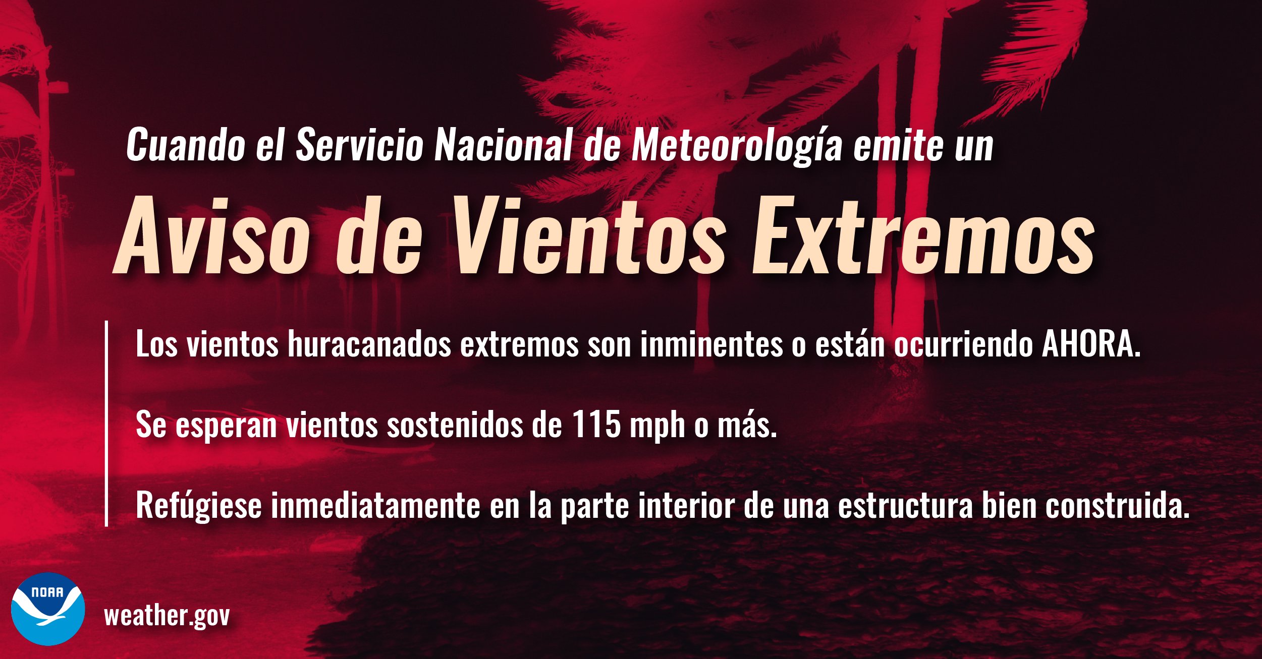 Se ha emitido una alerta de vientos extremos con la llegada del huracán Milton a Florida. Se espera vientos de 115 millas por hora o más (185 kilómetros por hora).