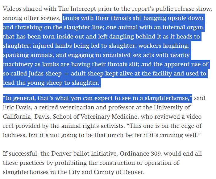 Dayton Martindale tweet media