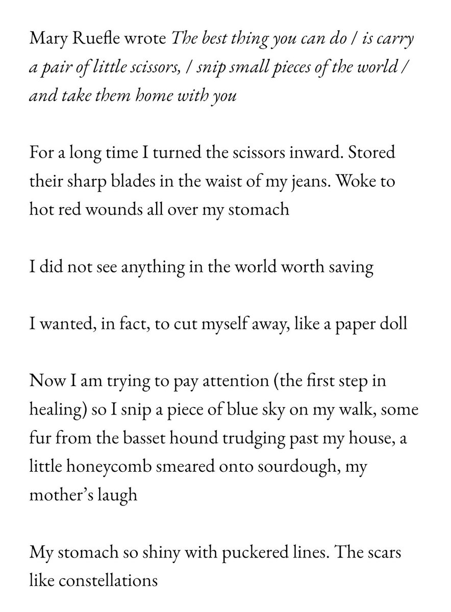 sometimes it’s not a poem or an essay but a secret third thing