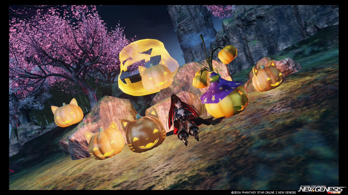 ATM77Unleashed's tweet image. #PSO2NGS #PSO2NGS_SS Asa: Pumpkin pumpkin p-pumpkin ^^
