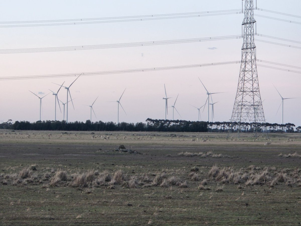 Russell Coad tweet media