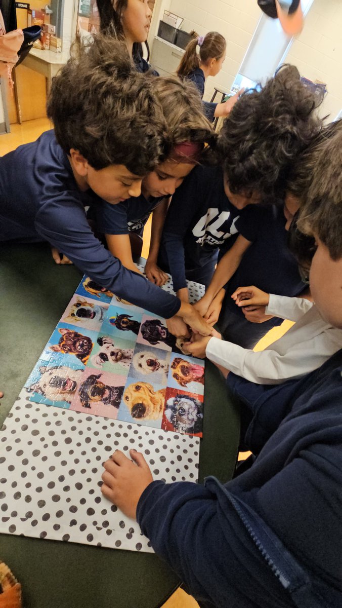 Lauren Coolahan tweet media