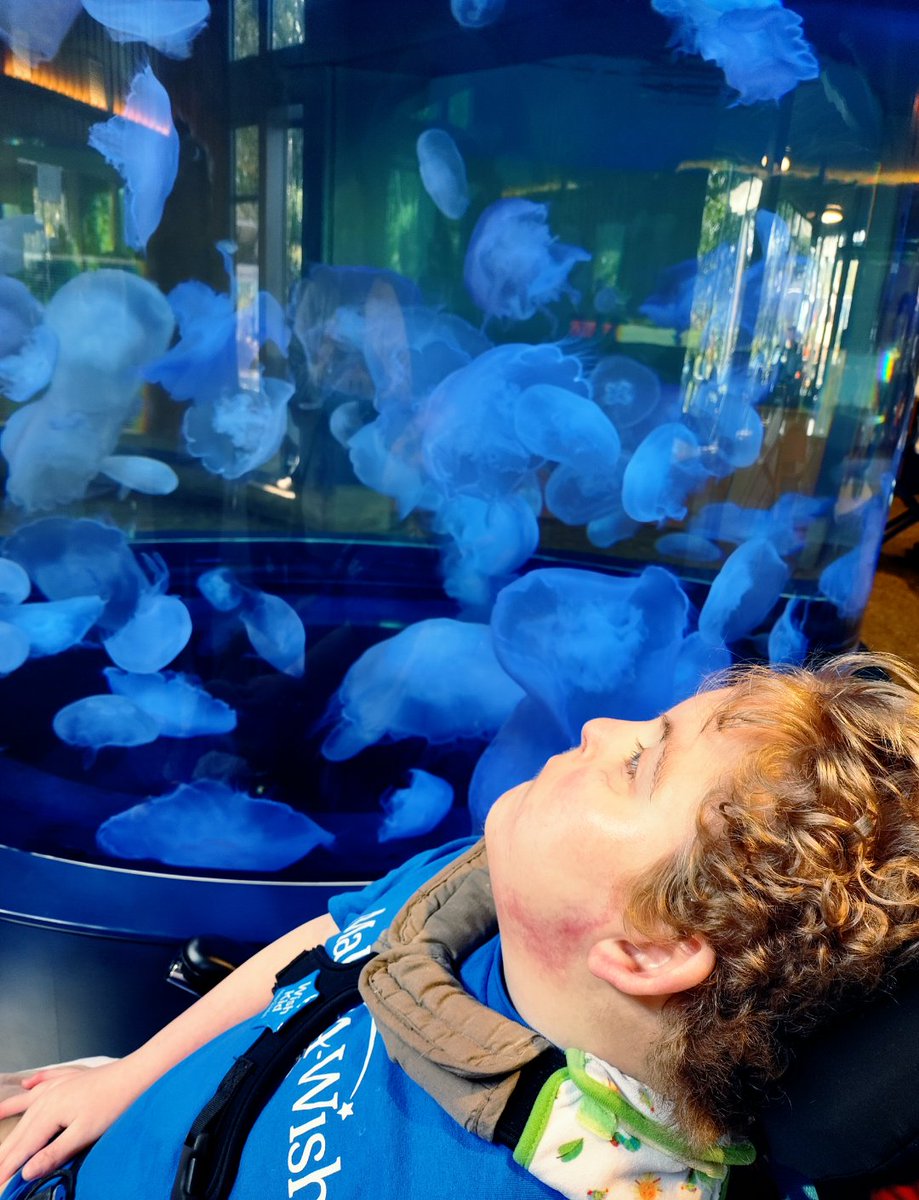 ORWish's tweet photo. ✨WISH GRANTED!✨
Jay took in all the sights along the Oregon Coast! 🌊From an aquarium experience to a wax museum visit and watching the ocean waves – we 💙 seeing that smile.😊
#WishGranted #MakeAWish #MakeAWishOregon #ORWish https://t.co/Dj7vCvWcdL