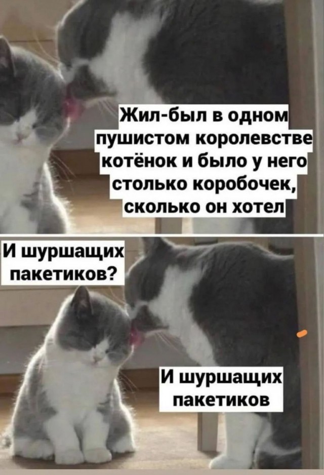 Cotizm (@cotizm1) on Twitter photo 