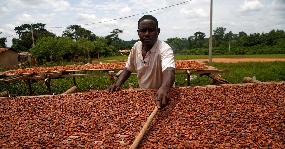Rain-affected roads slow cocoa arrivals at Ivory Coast ports reut.rs/484J4QK