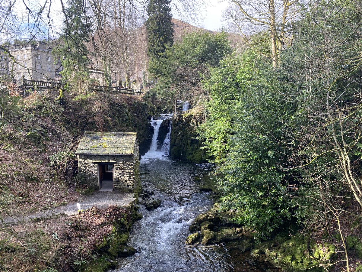 Xenia Horne Harpist 🎵🎶🎵 tweet media