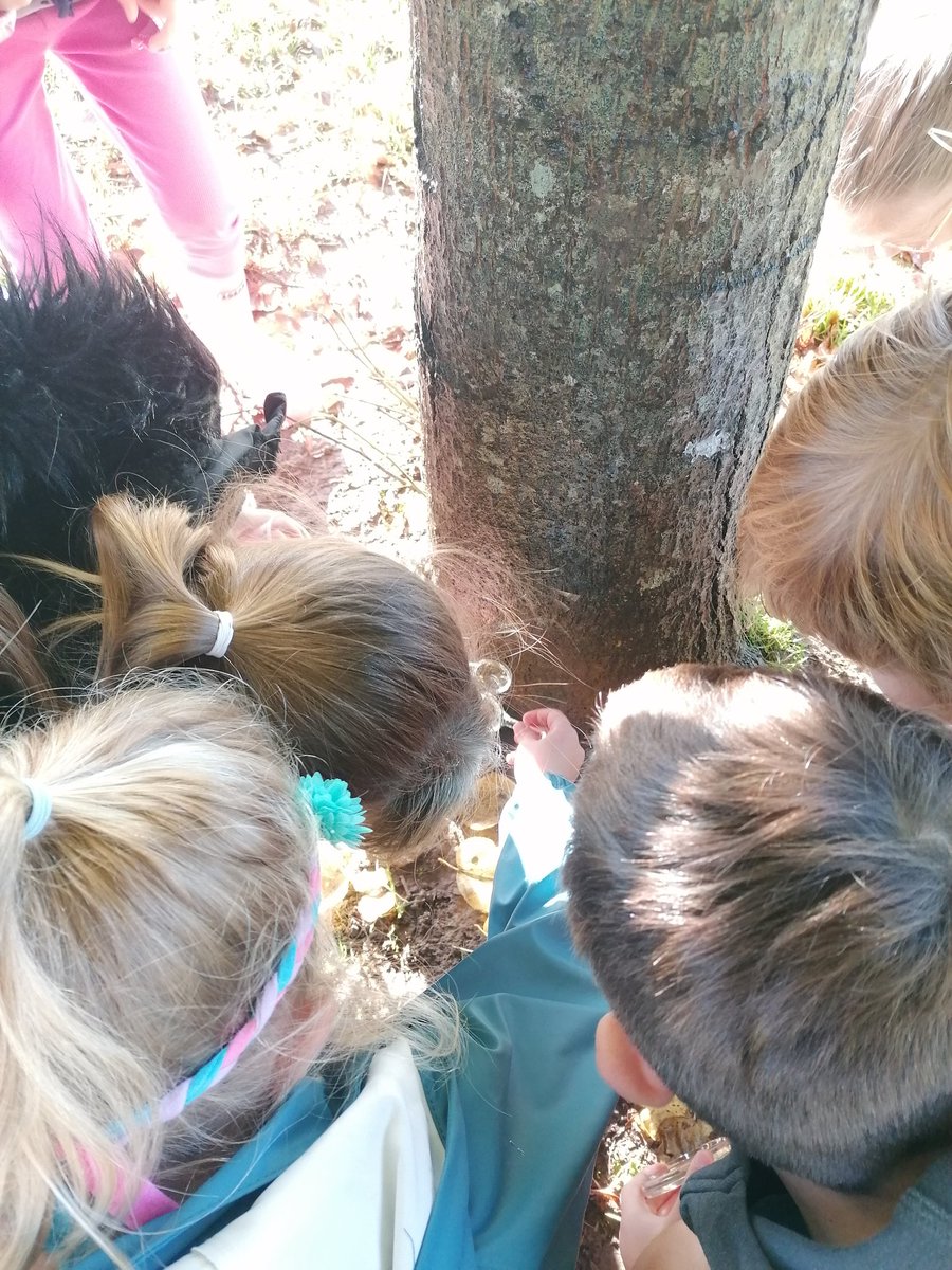 Llanishen Fach tweet media