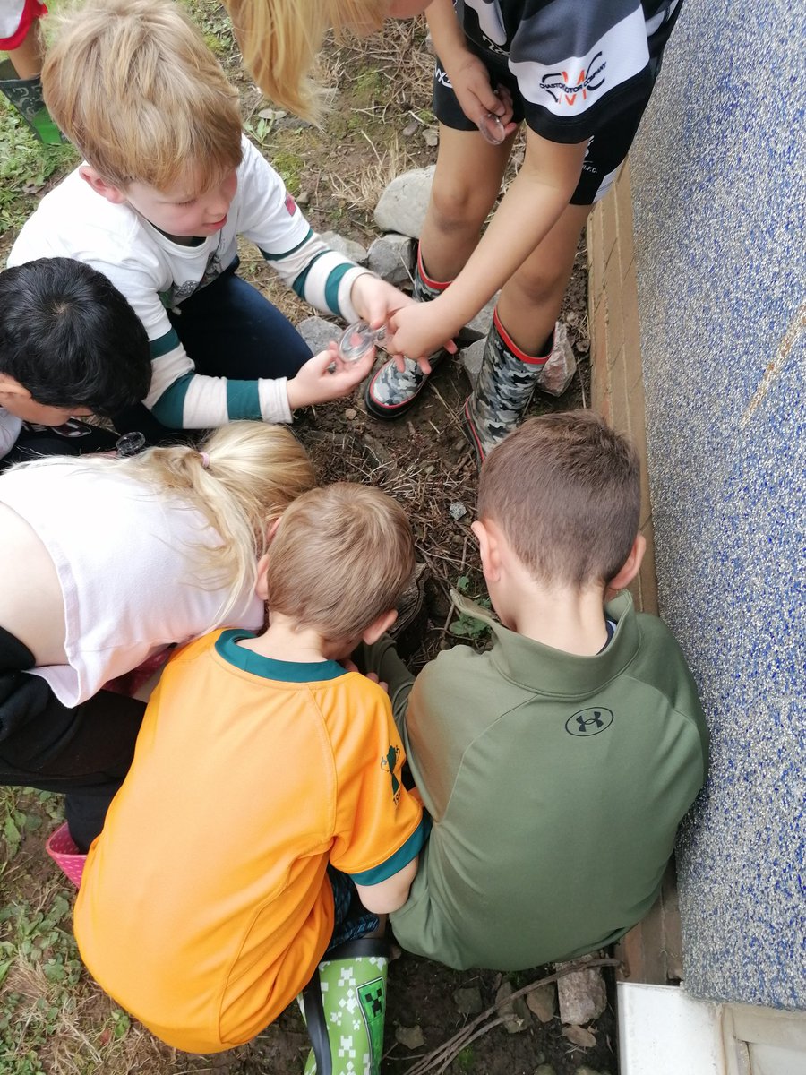 Llanishen Fach tweet media