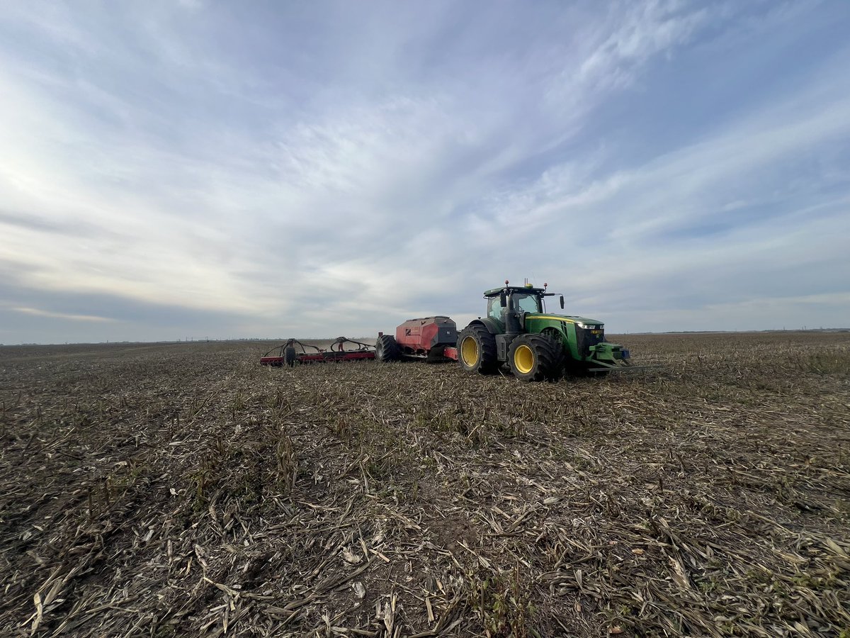 Hans D Poulsen tweet media