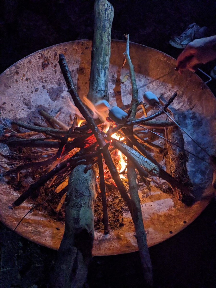 Knightwood Primary tweet media