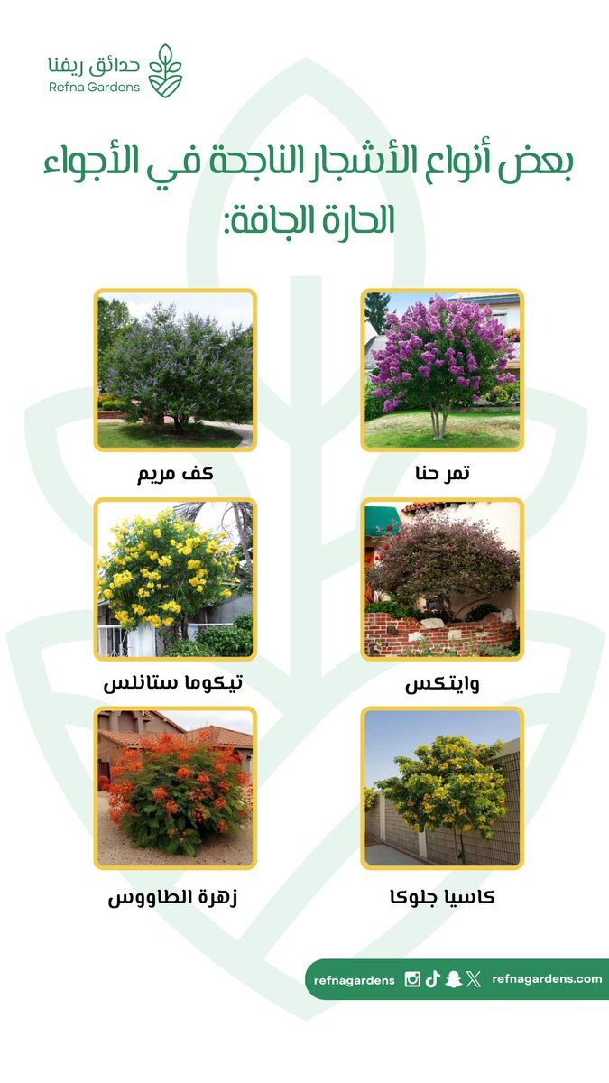 حدائق ريفنا tweet media