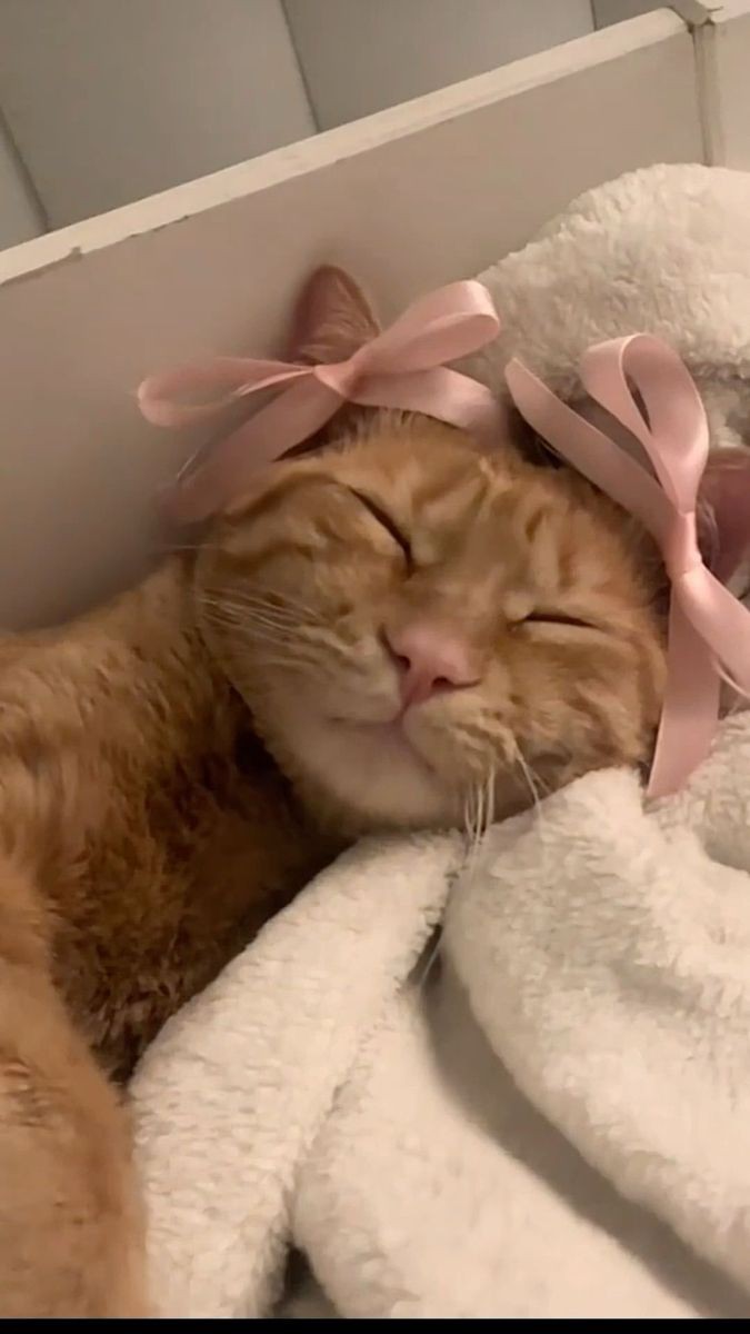 d_girlbaby's tweet photo. TE MOTYWY>>>
- 𝐩𝐫𝐨𝐟𝐞𝐬𝐨𝐫 𝐢 𝐬𝐭𝐮𝐝𝐞𝐧𝐭𝐤𝐚
- 𝐚𝐠𝐞 𝐠𝐚𝐩 (𝟐𝟎 𝐢 𝟑𝟔 𝐥𝐚𝐭)
- 𝐳𝐚𝐤𝐚𝐳𝐚𝐧𝐚 𝐫𝐞𝐥𝐚𝐜𝐣𝐚
- 𝐮𝐤ł𝐚𝐝
- 𝐭𝐨𝐮𝐜𝐡 𝐡𝐞𝐫 𝐚𝐧𝐝 𝐝𝐢𝐞
- 𝐨𝐛𝐬𝐞𝐬𝐣𝐚
- 𝐬𝐜𝐞𝐧𝐲 𝐞𝐫𝐨𝐭𝐲𝐜𝐳𝐧𝐞
#tomNA #TwitteroweKsiazkary https://t.co/WOtOlNr2Iz