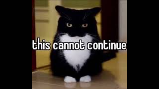 Beavers when they hear running water