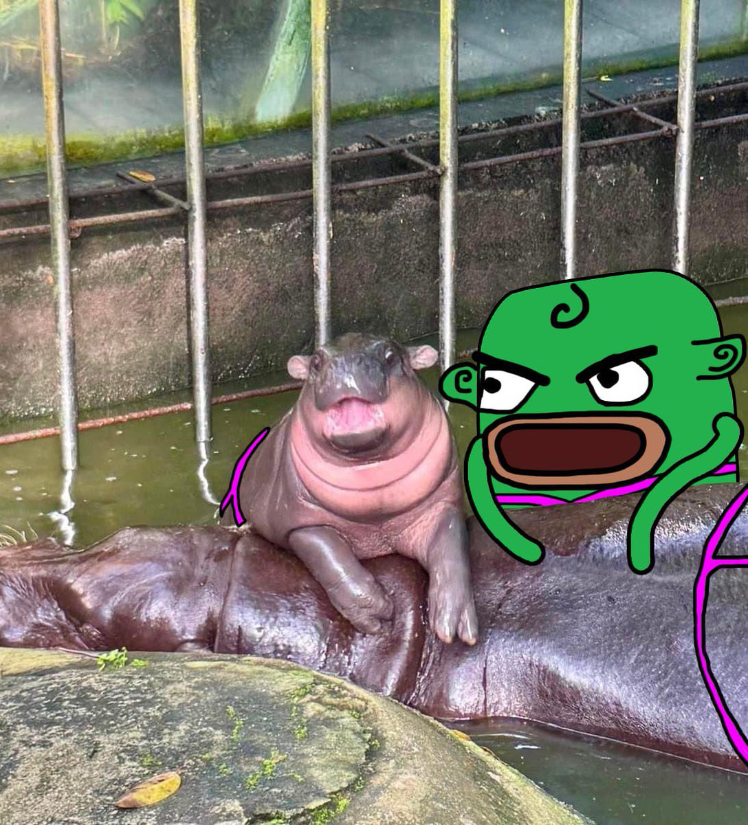 Back with a vengence and hanging out with the best of the best! 😈

$Daumen on #ETH 🤝 #Moodeng