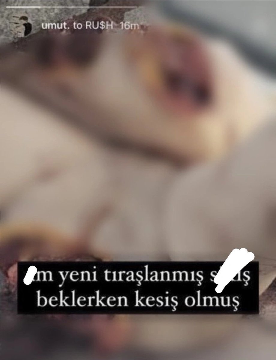 ocmvakfi's tweet photo. Edecek küfür söyleyecek laf bulamıyorum bu şeref yoksununa. Tüm yetkilileri etiketleyip tweeti paylaşmayı unutmayın. @AliYerlikaya @SiberayEGM https://t.co/m3uRtmdlzW