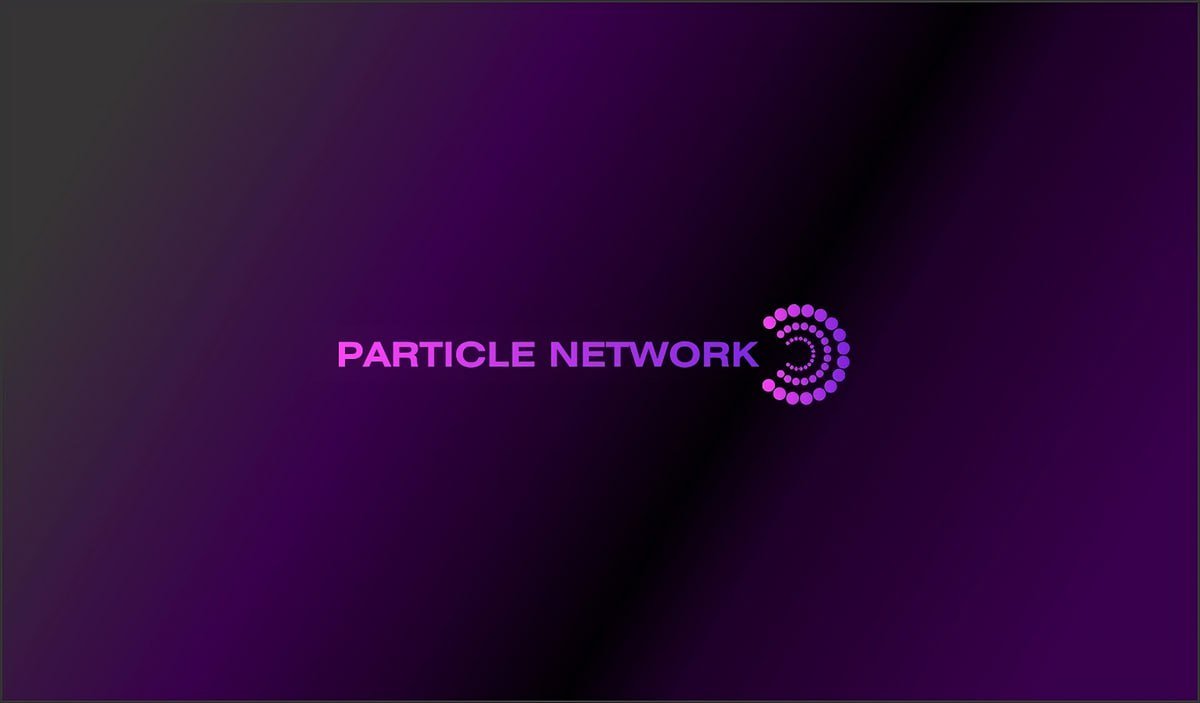 Particle Netrworks tweet media