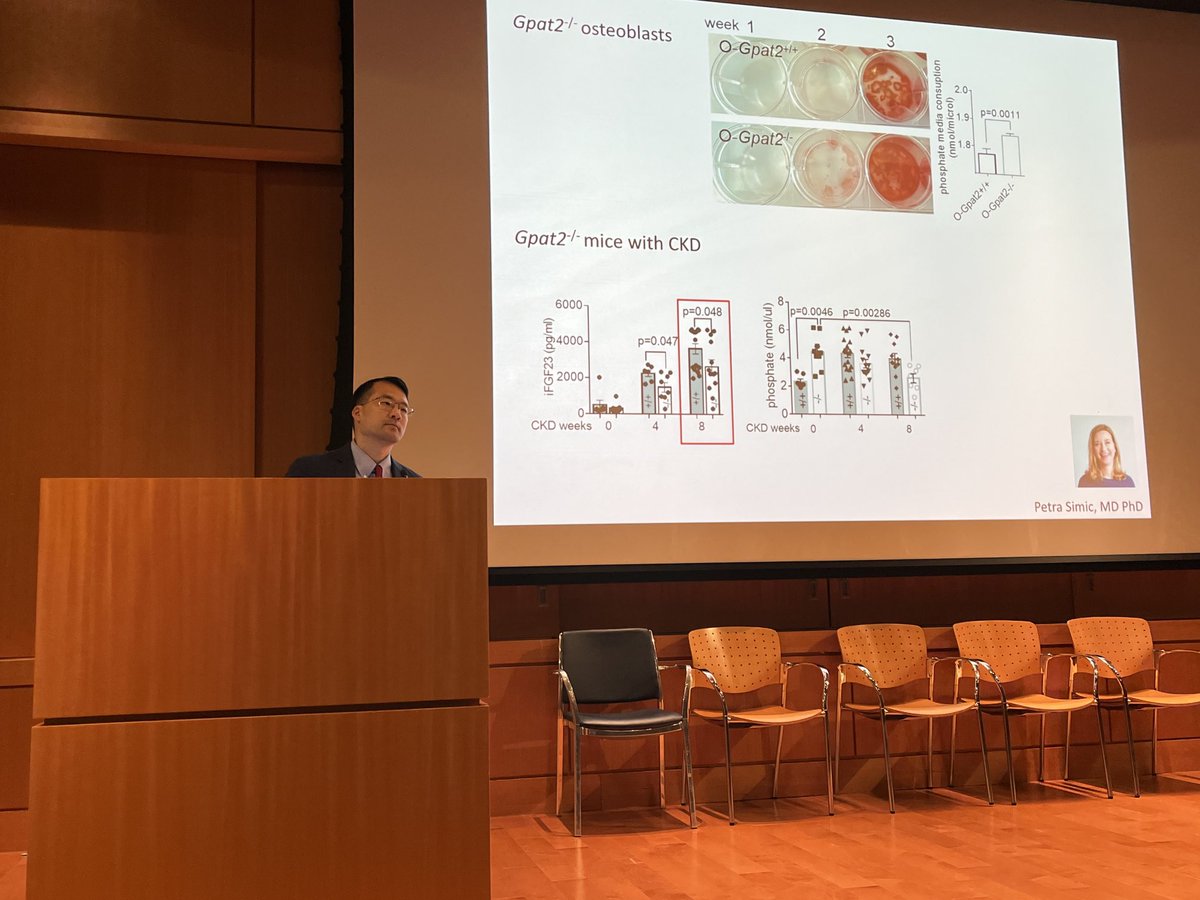 David Charytan (@dcharytan) on Twitter photo A great talk this morning by Dr Eugene Rhee at <a href="/NYULH_DeptofMed/">NYU Department of Medicine</a> MGR explaining his elegant work to uncover the role of renal tubular glycolysis as a FGF23 phosphate sensor A great talk this morning by Dr Eugene Rhee at <a href="/NYULH_DeptofMed/">NYU Department of Medicine</a> MGR explaining his elegant work to uncover the role of renal tubular glycolysis as a FGF23 phosphate sensor
