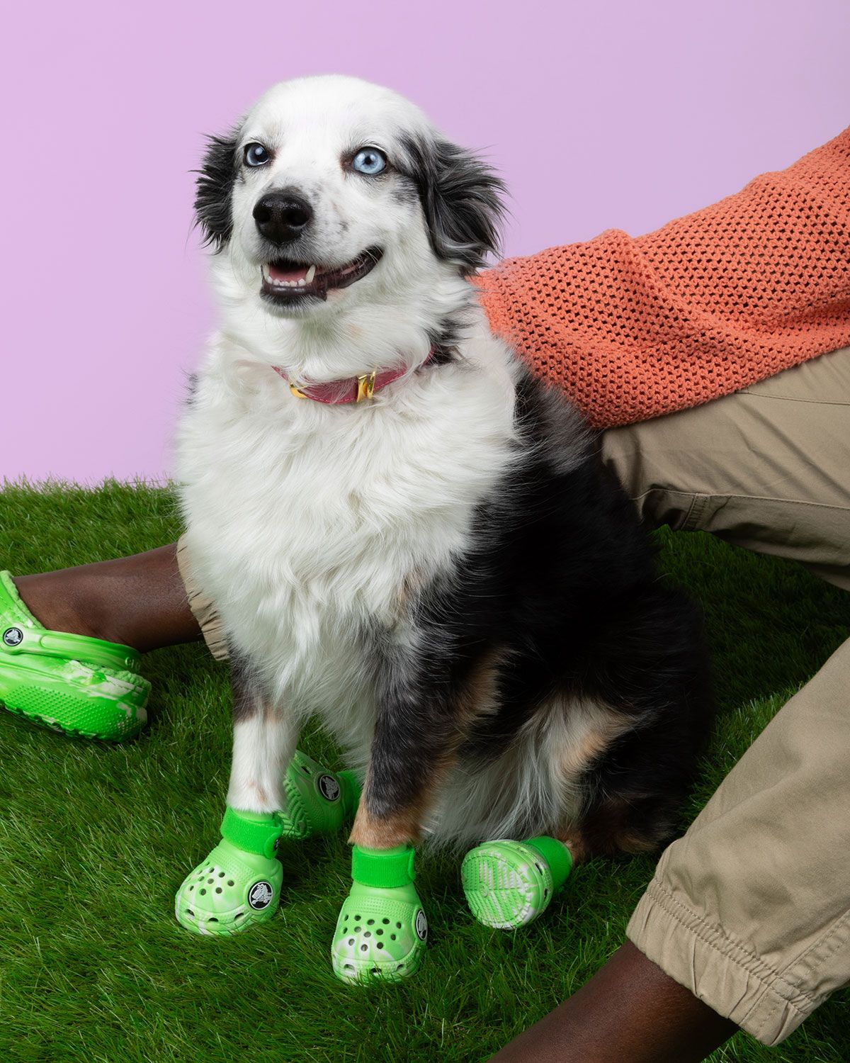 Sneaker News on X Crocs announces Pet Crocs the first ever Crocs footwear made for dogs Now your dog can go into sport mode Full details https t Ty0ptQoWDM https t SzxxxrT1i8 X
