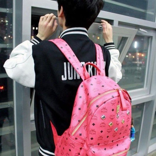 blushiekoo's tweet photo. baby koo with his pink bag against the world https://t.co/EGiffEiwIb