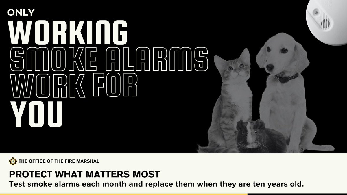 Your smoke alarm is a silent guardian, always on duty. But even superheroes need a little TLC! Test your smoke alarms monthly to ensure they are ready to protect your loved ones. It's a simple measure that can save lives. Protect what matters most. 

#FirePreventionWeek