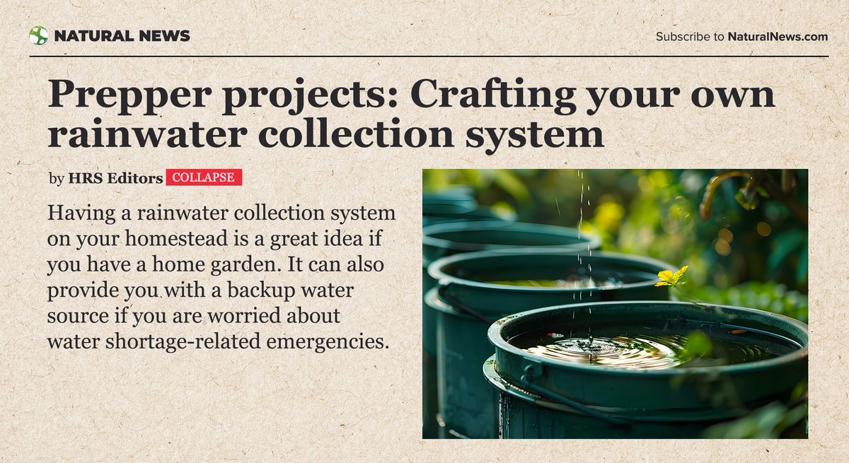NaturalNew34734's tweet image. Build a #RainwaterCollectionSystem to harvest water on your #homestead #prepping #WaterSupply