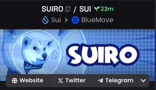 Suiroonsui's tweet photo. Our token info has been updated on @dexscreener 

https://t.co/esia9gU5NR

#MovePump #SUI #NEIRO https://t.co/N8s1y6LepV