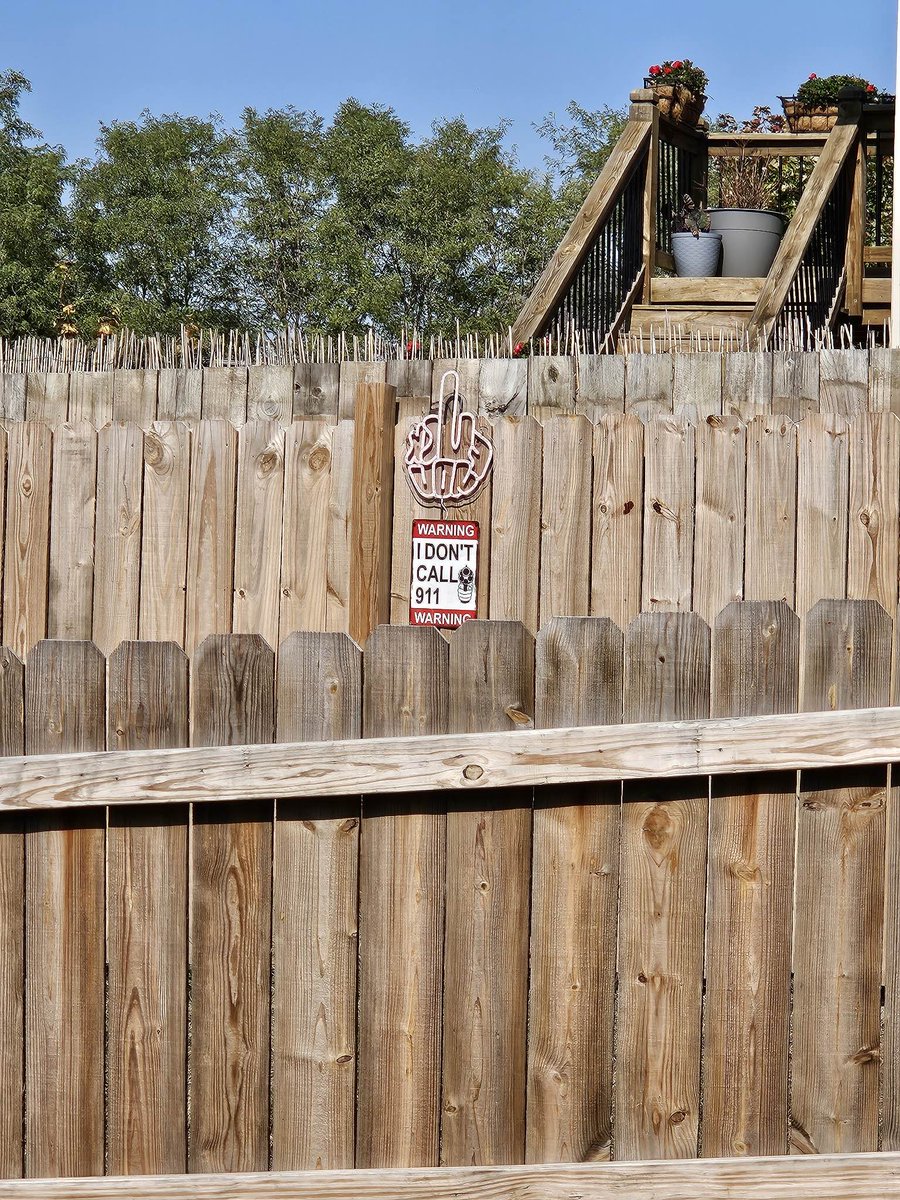 💣 BoomRoasted 💥 tweet media