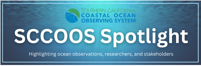 SCCOOS_org's tweet photo. Learn more about Dr. Chris Lowe and @CSULBsharklab efforts to understand Great White Sharks off the California coast https://t.co/xIzVipQnAe