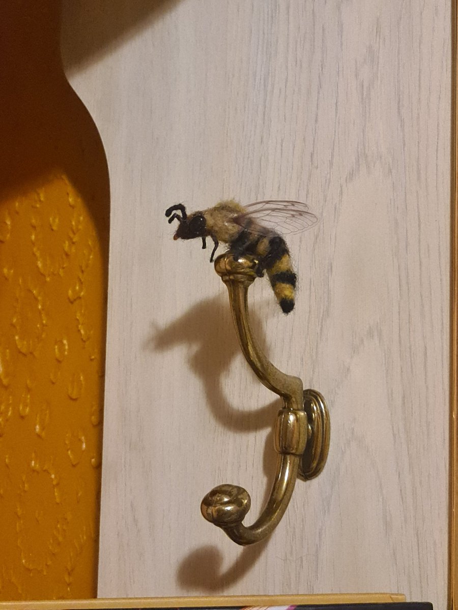 Isabelcebu's tweet photo. Todo pasa por algo y con la indemnización me compré una bici, pagué talleres de bordado y materiales para mis creaciones que me han hecho muy feli y tmb repuse lo esencial. Un premiesito al desapego, jajaja https://t.co/Z82OmJZ79m