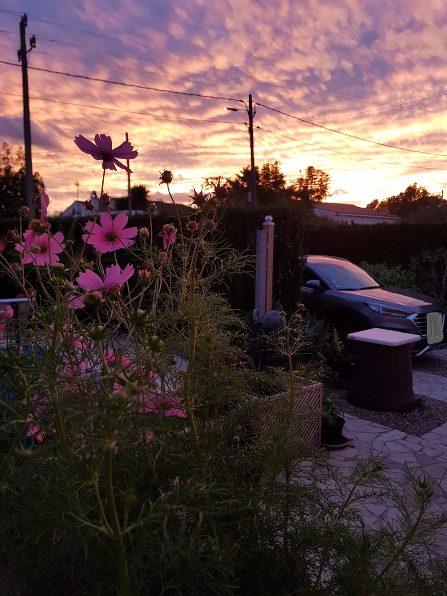 Bleaterur's tweet photo. Am Abend vor der Rückreise ein fotogenes Abendrot.

Hätte ich keine aktuellen Arzt-Termine in D, würde uns nichts von hier trennen.

Frau &amp; Hund haben keine Termine, aber sie kommen trotzdem mit 👩🐕 ins beste D aller Zeiten.

Mit knurren &amp; Zähne klappern und wenig Begeisterung! https://t.co/cgBrUGd4vh