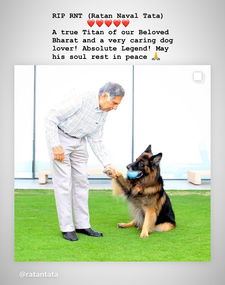 Jonathan Augustin tweet media