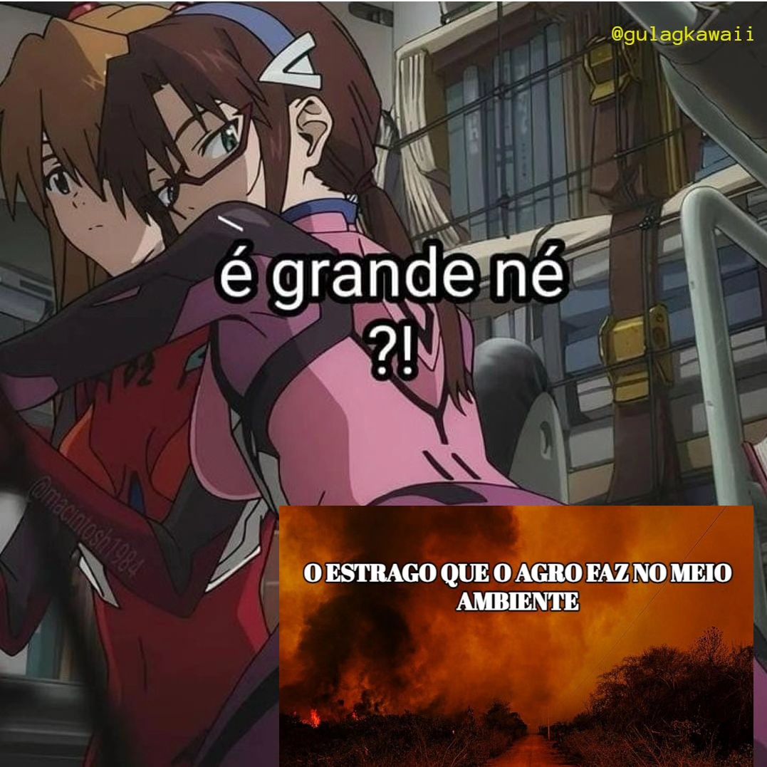 Gulag Kawaii 🇵🇸🇧🇷 tweet media