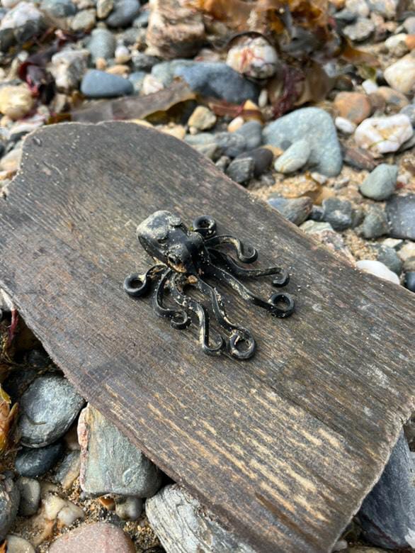 Well, it was a day too late for World Octopus Day but another Lego octopus has just surfaced! It was discovered today on the Cornish coast by 16 year old Louis-Matisse Nicholls, who goes by the name of @minibeachcleaner on Instagram - do give him a follow there. Louis-Matisse has