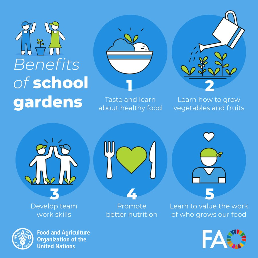 School gardens teach children about more than just growing food.   

They help to…
❤️ Develop life skills 
🍏Promote better #nutrition &amp; healthy eating
🌎Increase environmental awareness
💪Cultivate respect for food &amp; #FoodHeroes

via <a href="/FAO/">Food and Agriculture Organization</a>