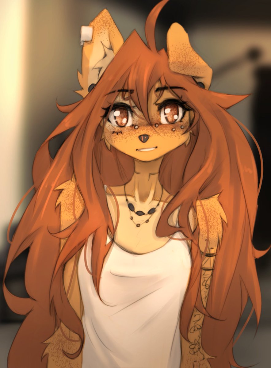 Tiny Boring Pirate tweet media