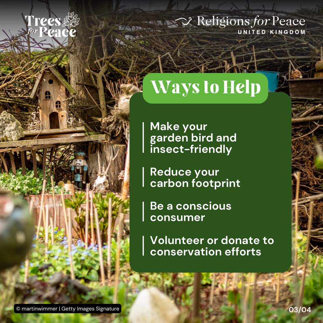 RfP_ukiyn's tweet photo. Celebrate #WorldMigratoryBirdDay by creating a bird-friendly space at home! Protect insects, reduce your footprint, or donate to our Trees for Peace Grove. https://t.co/DJzMJZ1YUH https://t.co/PV7tZ2kRUw