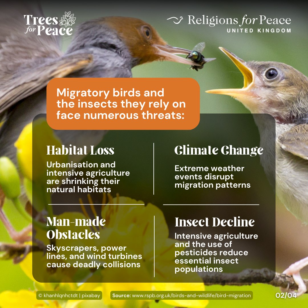 Religions for Peace UK tweet media