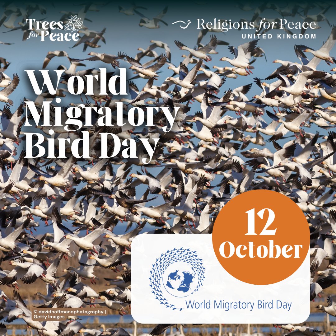 Religions for Peace UK tweet media